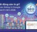 SEO Bất động sản là gì
