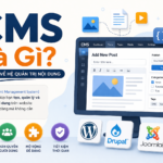 CMS Là Gì?