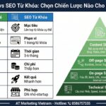 seo tổng thể là gì - AT Marketing Vietnam