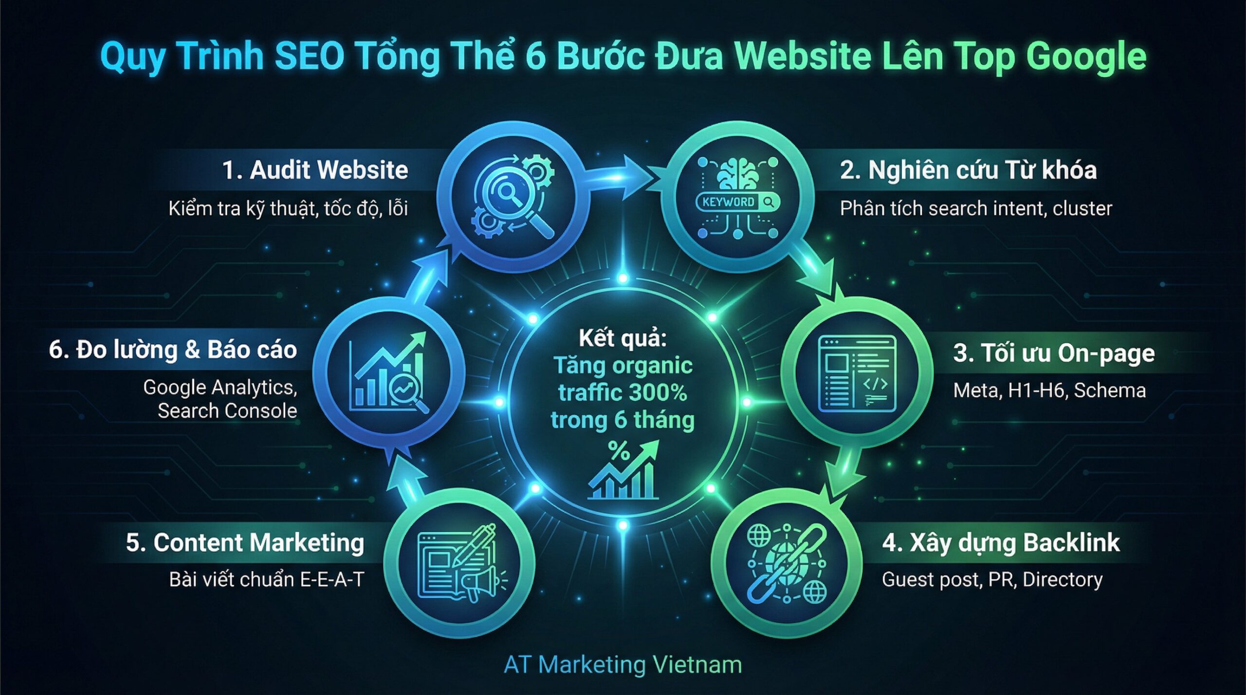 Infographic seo tổng thể là gì chi tiết