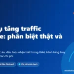 Ảnh bìa dịch vụ tăng traffic website: cách phân biệt traffic thật, traffic ảo và cấu trúc chi phí