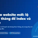 Ảnh bìa SEO website mới: lộ trình 6 tháng giúp Google index và đưa từ khóa lên top